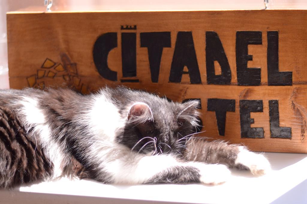 Citadel Hostel Алба-Юлия Экстерьер фото